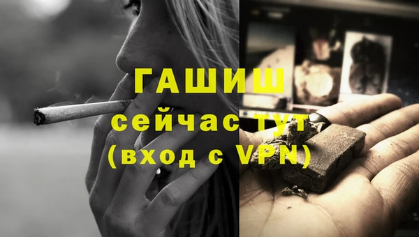 бошки Белокуриха