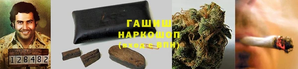 бошки Белокуриха