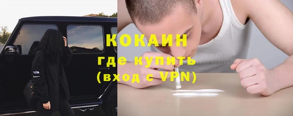 бошки Белокуриха