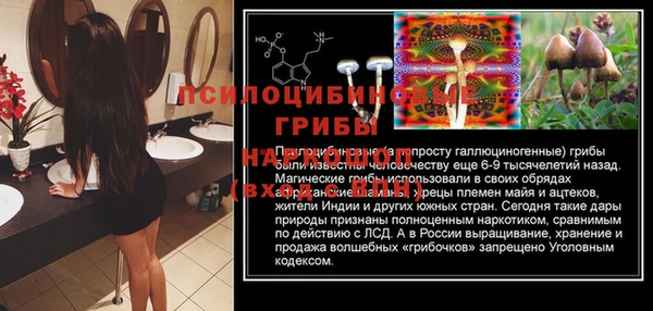 мдпв Беломорск