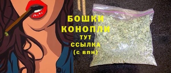 сатива Белоозёрский