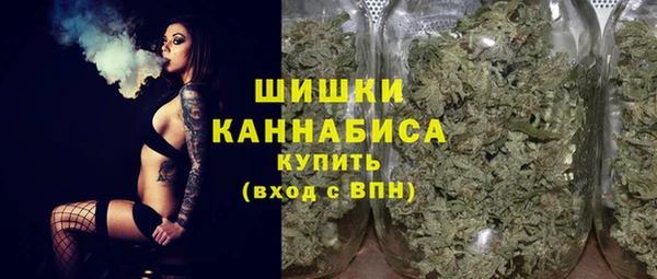бошки Белокуриха