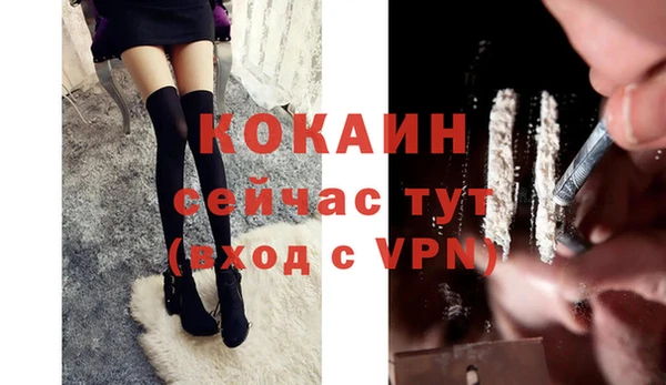 сатива Белоозёрский
